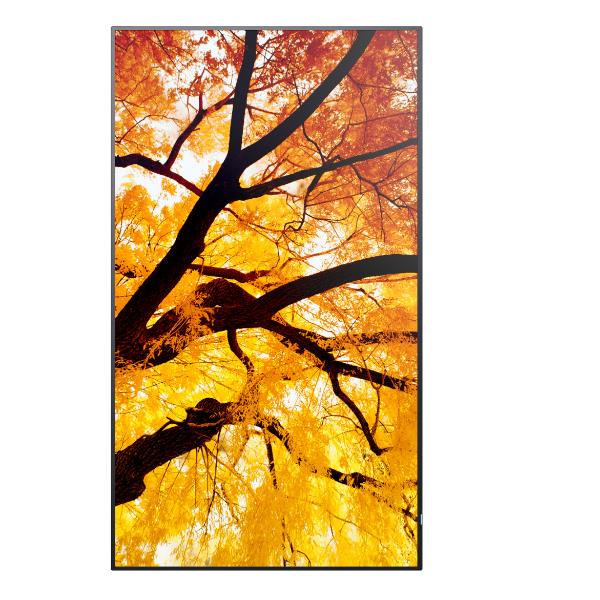 Monitor Digital Signage Sharp MultiSync M432 42.5 4K IPS 550cdm - SKU: PNM432 - Immagine 7