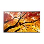 Monitor 50″ Sharp MultiSync M502 4K VA 550cd/m² Digital Signage