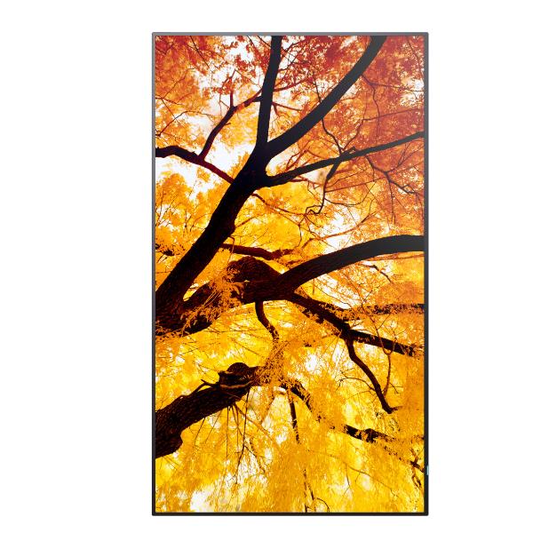 Monitor 50 Sharp MultiSync M502 4K VA 550cdm Digital Signage - SKU: PNM502 - Immagine 5