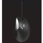 Mouse Ergonomico Rapoo EV200 USB Nero per Ufficio