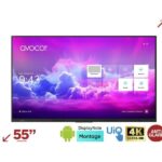 Monitor LCD 55″ Avocor AVE-5550 LED 4K UHD per Ufficio