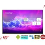 Monitor LCD 65″ Avocor AVE-6550 4K UHD LED per Ufficio