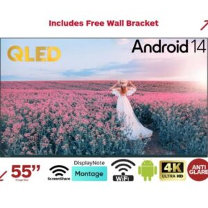 Monitor LCD 55" Avocor AVK-5510 LED 16:9 per Ufficio