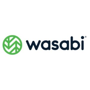 Wasabi Cloud NAS - 2 years - SOFTWARE MULTILICENZA (ELETTRONICA)
