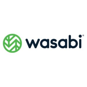 Wasabi Cloud NAS - 4 years - SOFTWARE MULTILICENZA (ELETTRONICA)