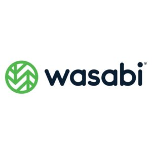 Wasabi Cloud NAS - 3 years - SOFTWARE MULTILICENZA (ELETTRONICA)
