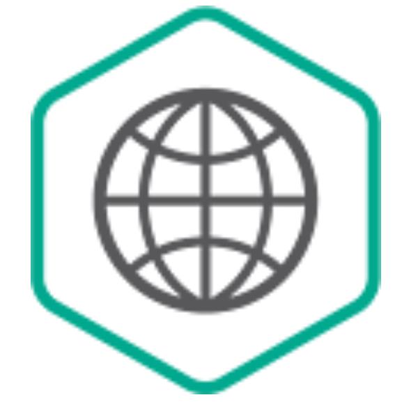 Kaspersky Security for Internet Gateway - SOFTWARE MULTILICENZA (ELETTRONICA)