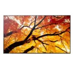 Monitor 55″ Sharp MultiSync M552 4K IPS 550cd/m²