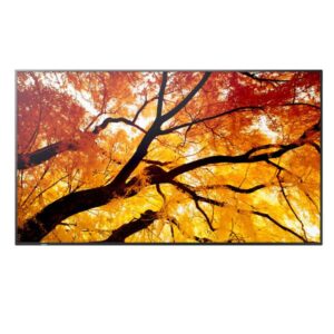 Monitor 55" Sharp MultiSync M552 4K IPS 550cd/m²